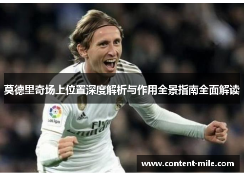 莫德里奇场上位置深度解析与作用全景指南全面解读