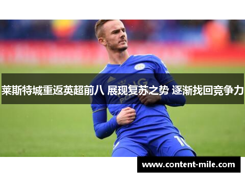 莱斯特城重返英超前八 展现复苏之势 逐渐找回竞争力 莱斯特城重返英超前八 展现复苏之势 逐渐找回竞争力