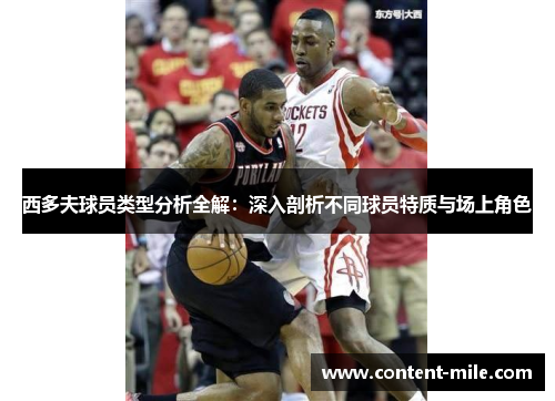西多夫球员类型分析全解:深入剖析不同球员特质与场上角色 西多夫球员类型分析全解:深入剖析不同球员特质与场上角色