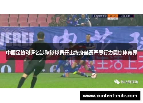 中国足协对多名涉赌球球员开出终身禁赛严惩行为震惊体育界