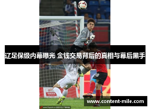辽足保级内幕曝光 金钱交易背后的真相与幕后黑手