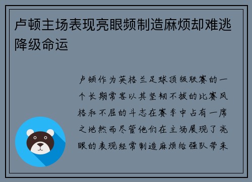 卢顿主场表现亮眼频制造麻烦却难逃降级命运